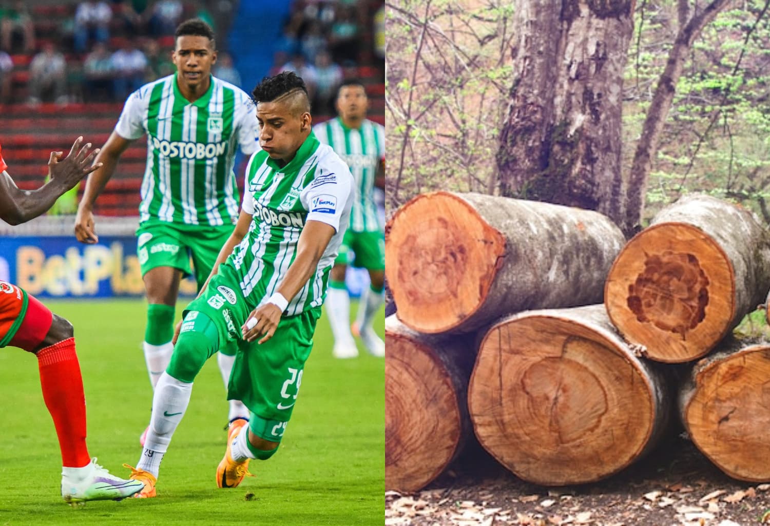 Atlético Nacional empató en casa contra Cortuluá.
