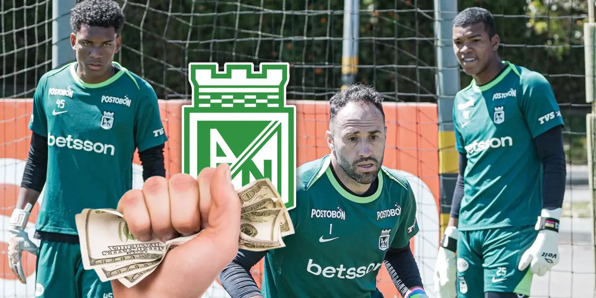 Atlético Nacional y un posible movimiento que tiene en atención a sus hinchas Foto: Nacionaloficial, Pexels y Escudoteca