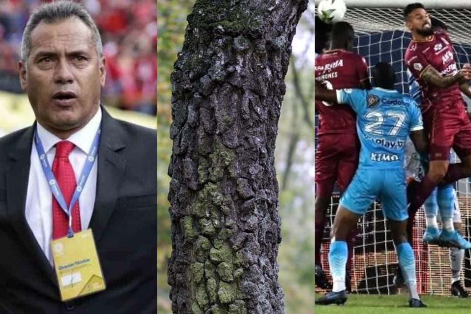 Deportes Tolima empató 2-2 ante Jaguares en el estadio Manuel Murillo Toro de Ibagué