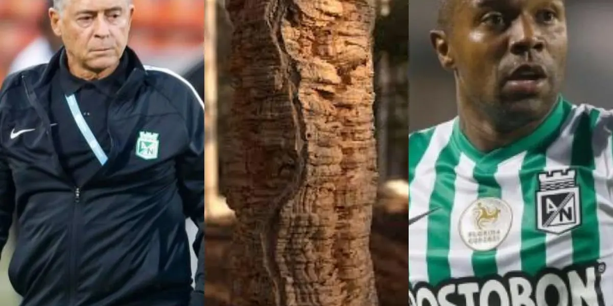 Dorlan Pabón tuvo una insólita acción con Atlético Nacional que no le habría gustado a Pedro Sarmiento