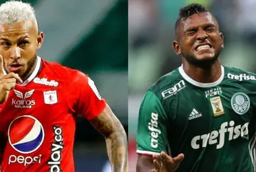 Duván Vergara tiene un pie en el fútbol brasileño, en Gremio, y este sería el gran sueldo que tiene comparado con lo que percibió Miguel Ángel Borja en su etapa en Palmeiras.