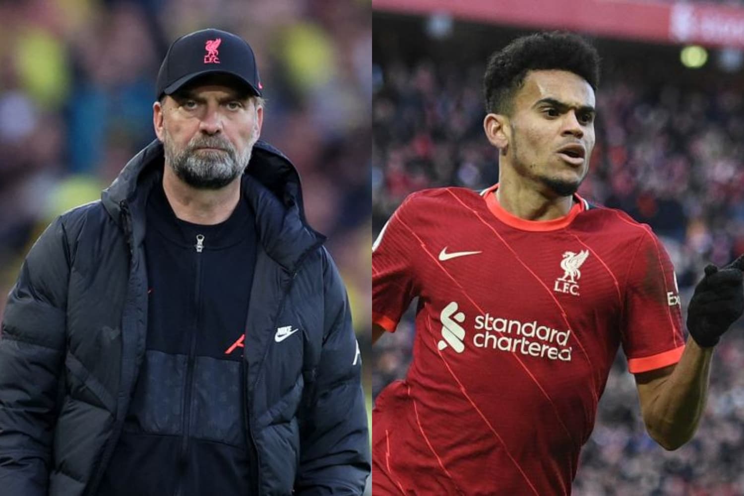 El colombiano marcó el gol del empate 1-1 de Liverpool ante Tottenham en la Premier League que deja al eqiupo parcialmente lider de la liga.