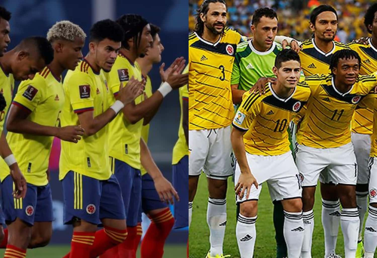 El colombiano Mario Yepes ha sonado como reemplazo de Reinaldo Rueda según comenta la prensa en Colombia en las últimas horas, solo hay algo que se lo impide.