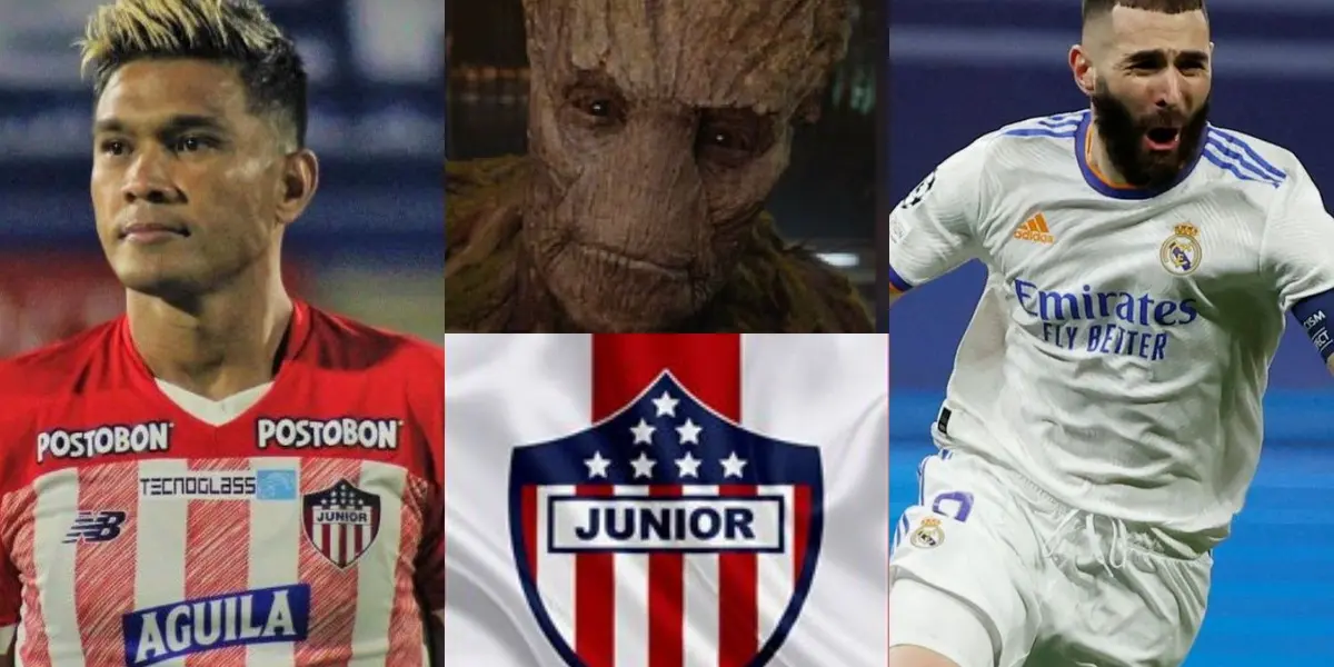 El cuadro tiburón se sigue reforzando de cara a la próxima temporada y fichó a un delantero