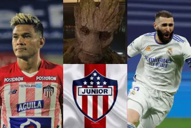 El cuadro tiburón se sigue reforzando de cara a la próxima temporada y fichó a un delantero