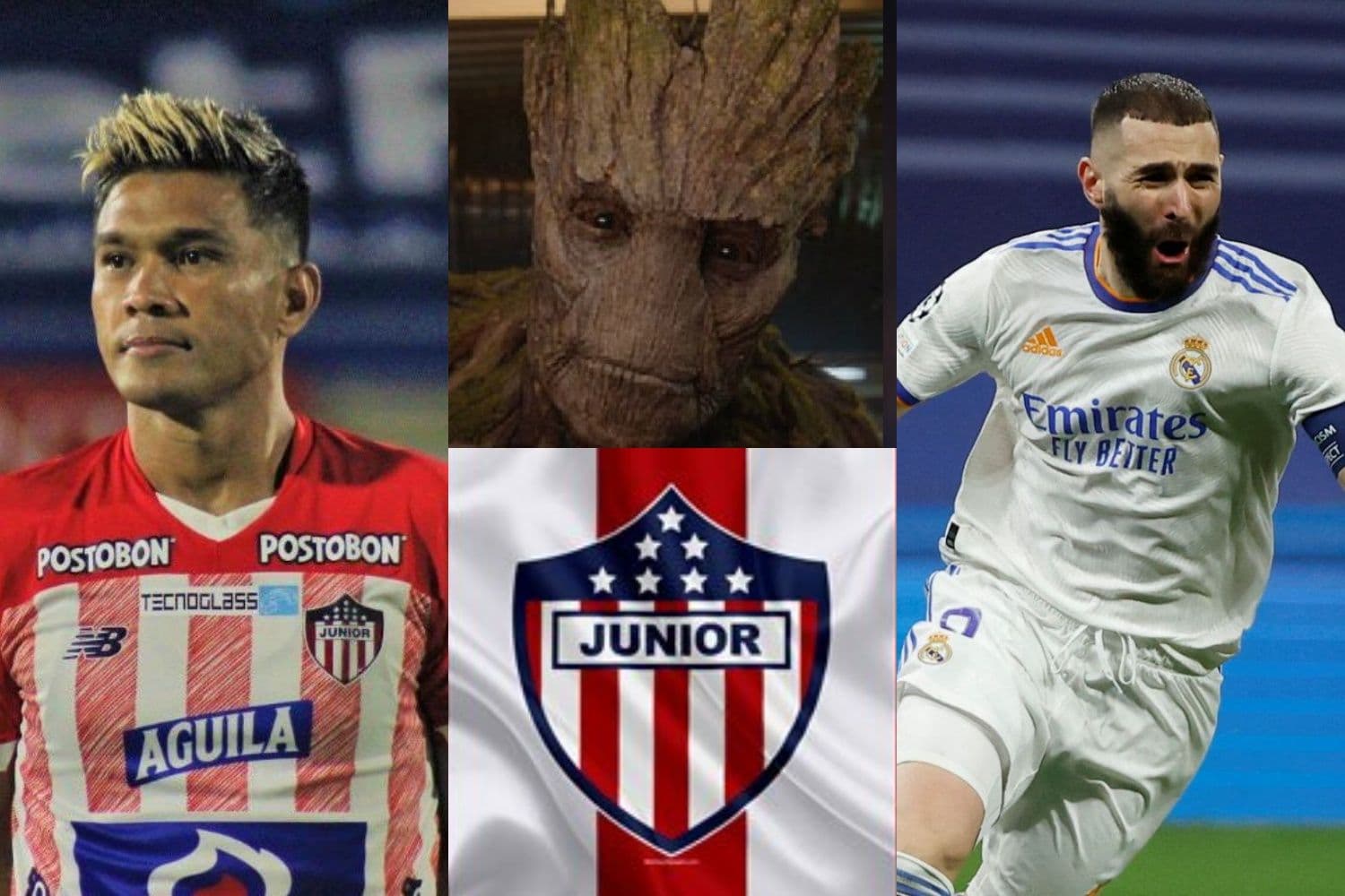 El cuadro tiburón se sigue reforzando de cara a la próxima temporada y fichó a un delantero