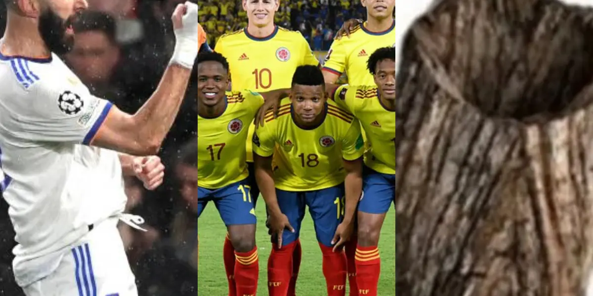 El delantero colombiano viene de marcar en Europa y lleva cuatro goles en la reciente temporada, mientras con la tricolor solo marcó tres goles en la eliminatoria rumbo a Catar 2022, según Transfermarkt.