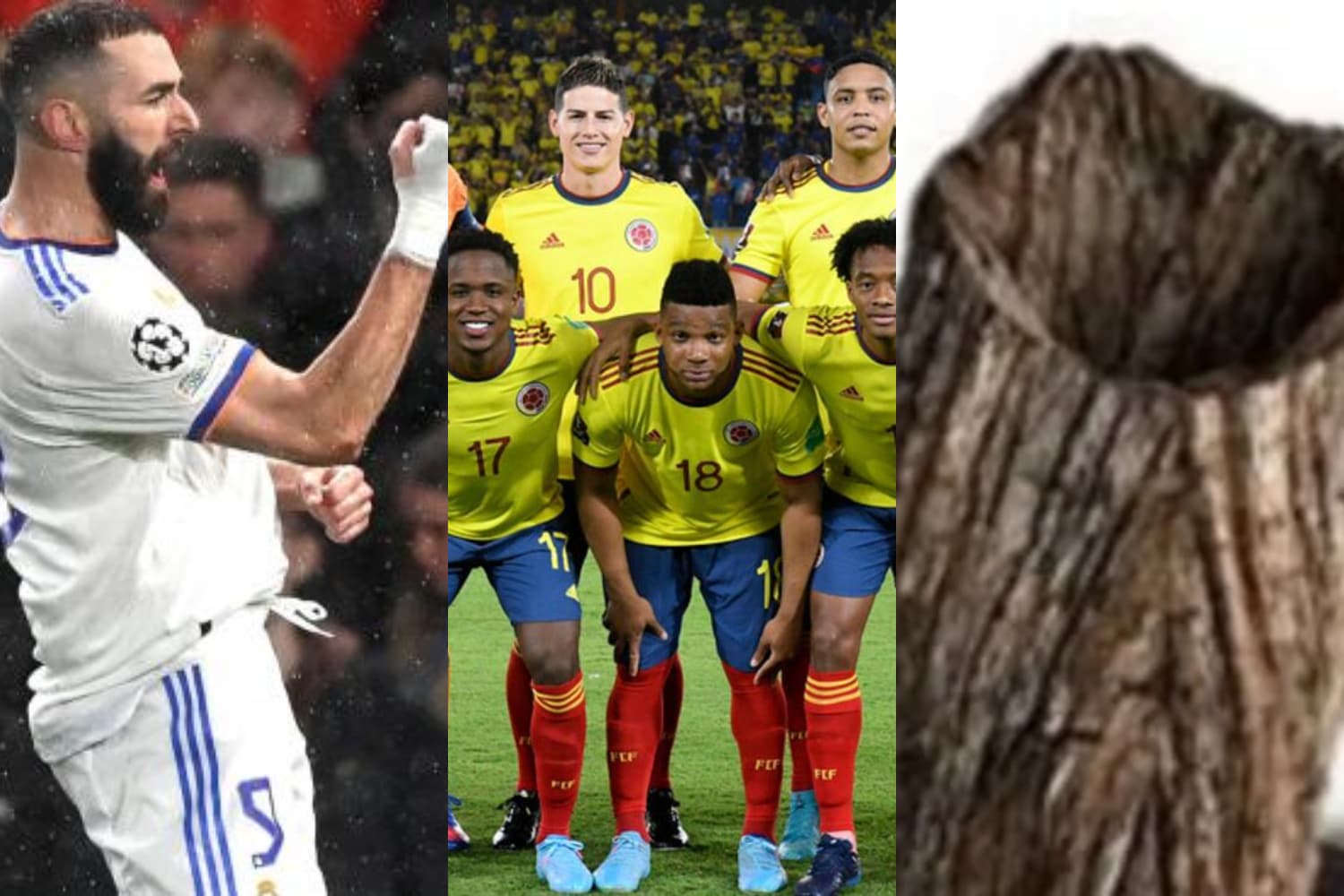 El delantero colombiano viene de marcar en Europa y lleva cuatro goles en la reciente temporada, mientras con la tricolor solo marcó tres goles en la eliminatoria rumbo a Catar 2022, según Transfermarkt.