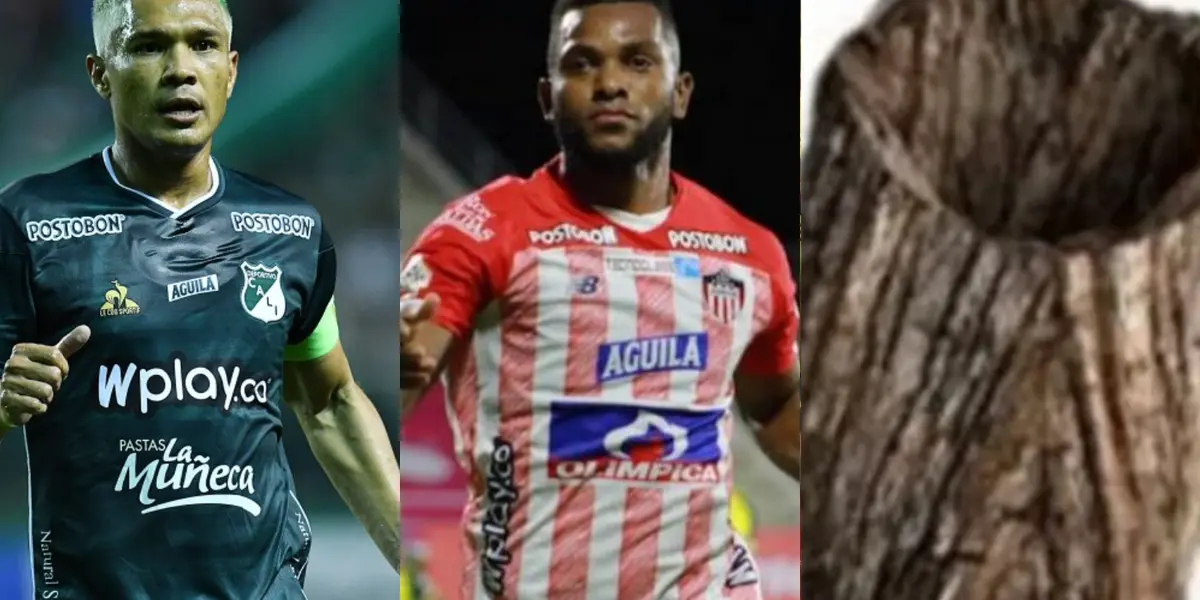 El delantero del Deportivo Cali insultó al atacante del Junior de Barranquilla por su actuación con la Selección Colombia.