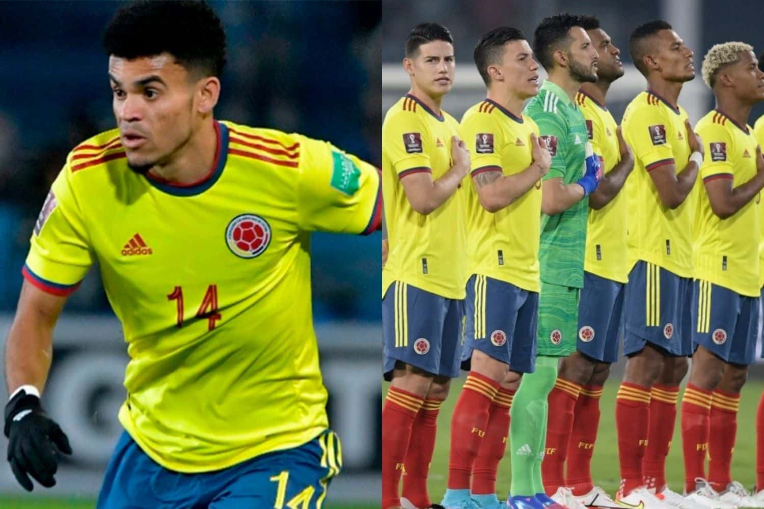El delantero del Liverpool habló sobre la tricolor que ahora está al mando de Néstor Lorenzo