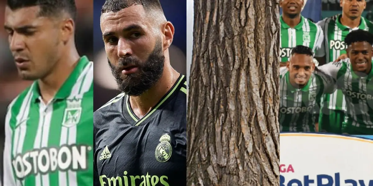 El delantero ha sido señalado como uno de los responsables de la eliminación de Atlético Nacional de la liga