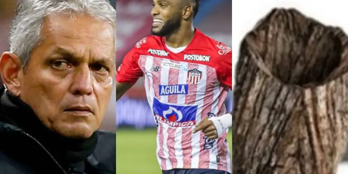 El delantero de Junior le envió un mensaje al entrenador de la Selección Colombia para que lo tenga en cuenta en la próxima fecha FIFA.