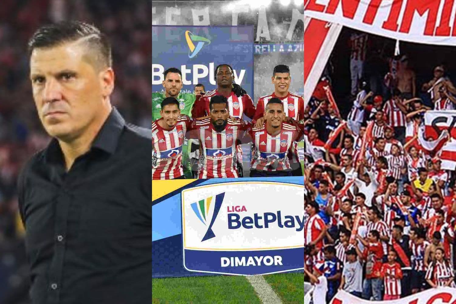 El entrenador hizo un polémico comentario sobre los aficionados del cuadro tiburón
