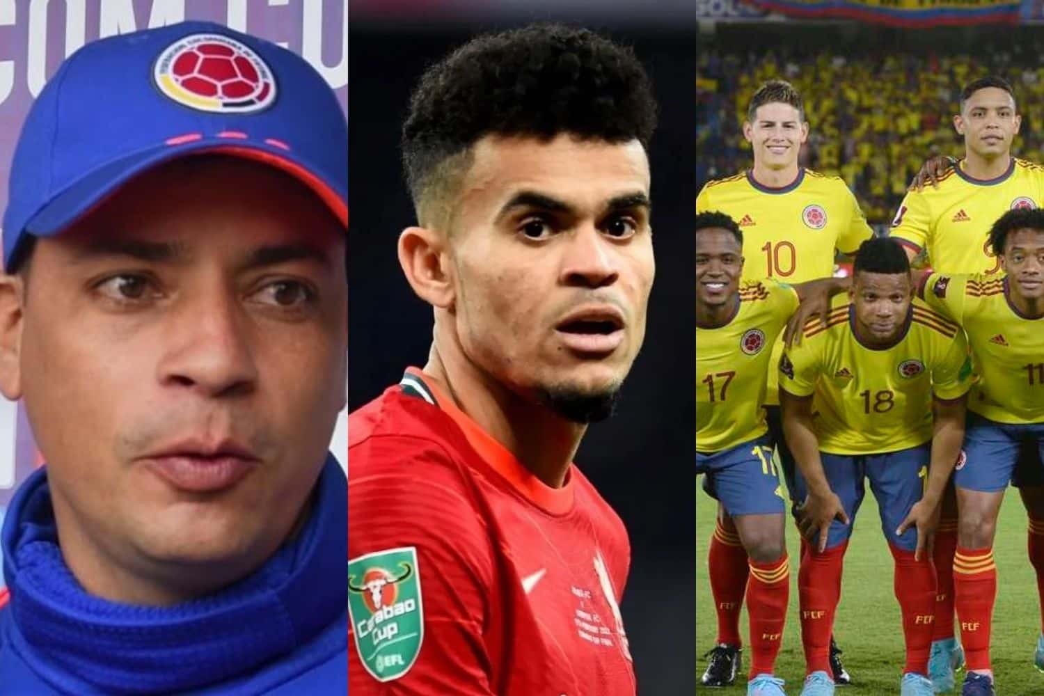 El entrenador interino de la Selección Colombia se refirió sobre la ausencia de Luis Díaz.