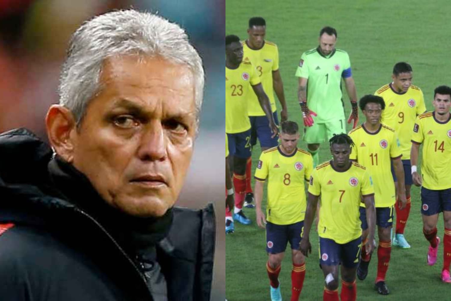 El entrenador se prepara para disputar la última fecha FIFA rumbo a Catar donde se definirá su futuro al mando de la Selección Colombia.