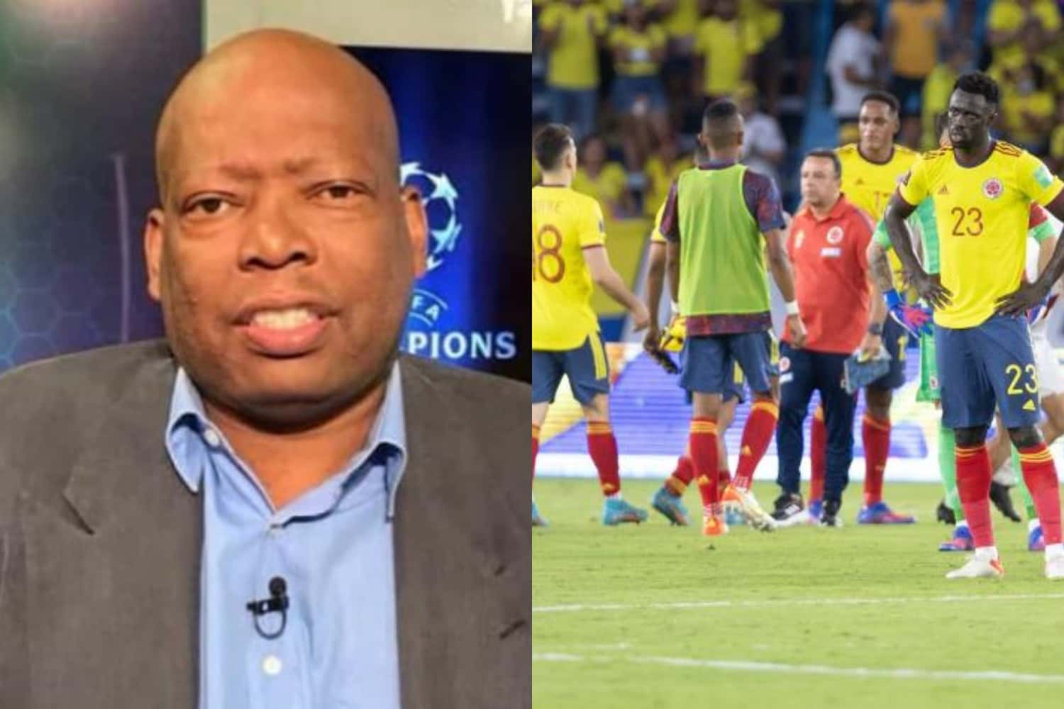 El exfutbolista de la Selección Colombia se refirió sobre el presente de la tricolor y el nivel de los jugadores.