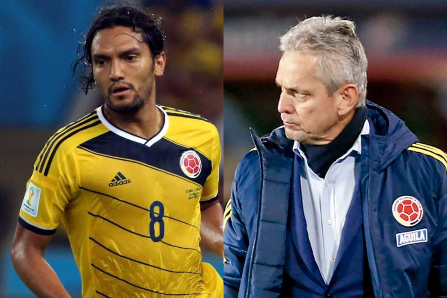 El exfutbolita que brilló con la Selección Colombia habló sobre el presente de la tricolor.