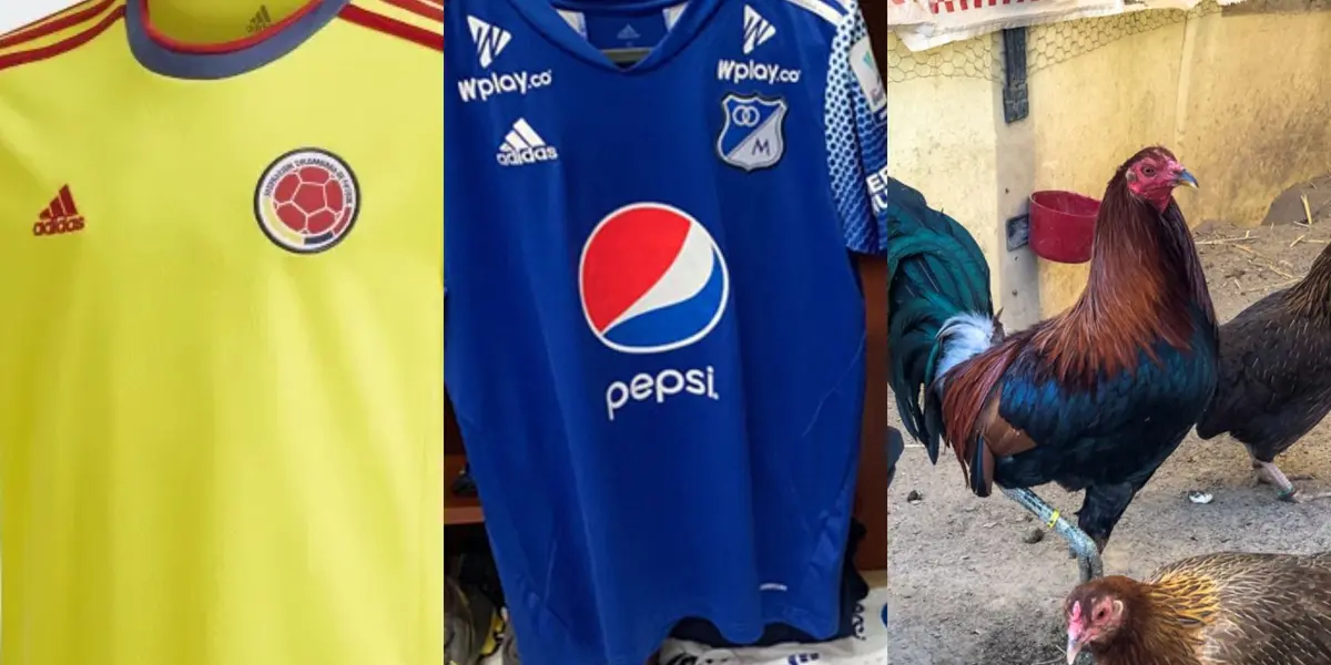 El jugador aparte de su carrera deportiva es un amante de la cría de gallos.