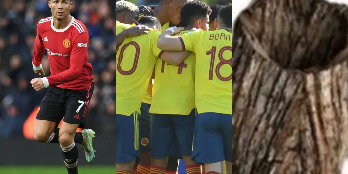 El jugador colombiano se viene destacando en la ML, pero con la tricolor dejó muchas dudas.