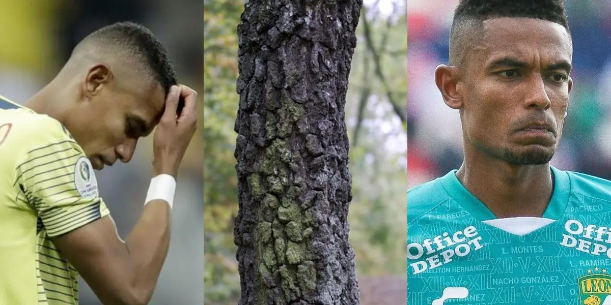 El jugador colombiano no tuvo un buen rendimiento en la Selección Colombia cuando estuvo al mando de Reinaldo Rueda y Carlos Queiroz