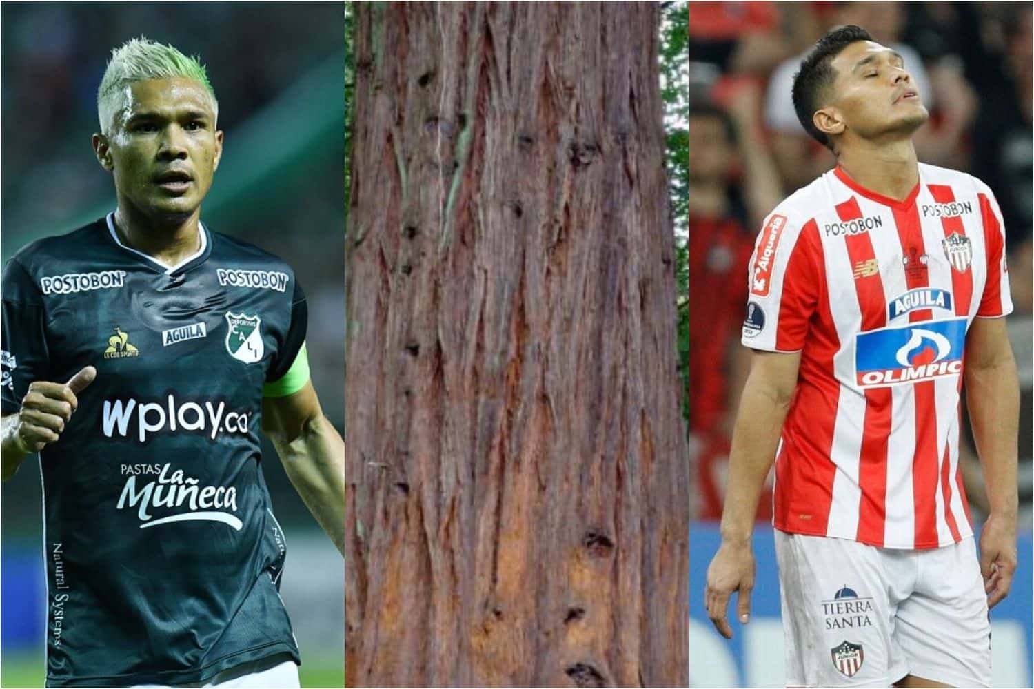 El jugador del Deportivo Cali podría cambiar de club de cara a la próxima temporada tras haber sido un tronco en el cuadro azucarero esta temporada