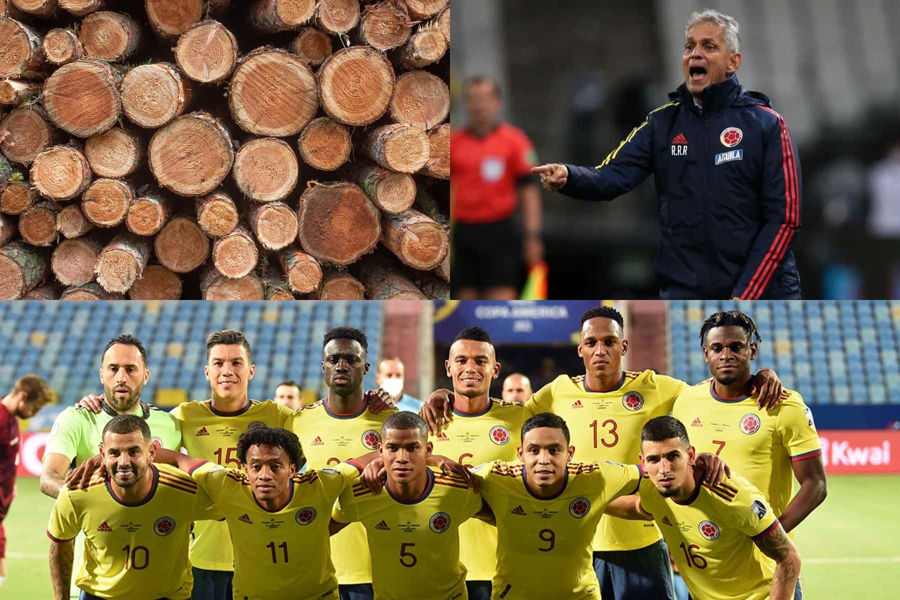 El jugador no dio la talla en la Selección Colombia, no ayudó al fracasado proyecto de Reinaldo Rueda y ahora podría terminar jugando en una exótica liga.