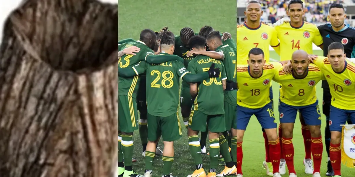 El jugador hizo parte de la Selección Colombia que dirige Reinaldo Rueda donde no mostró el mismo rendimiento que tiene en su club.