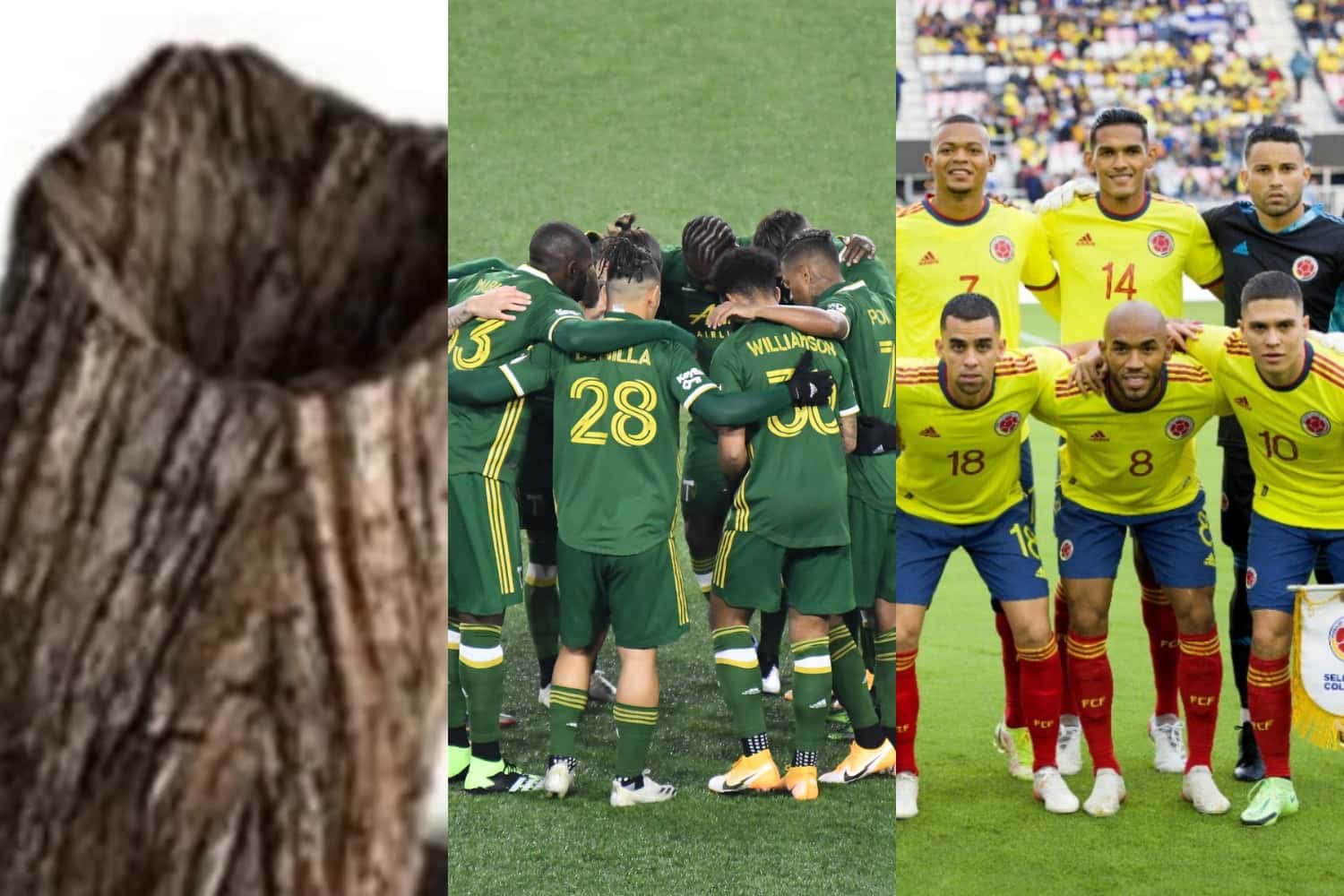 El jugador hizo parte de la Selección Colombia que dirige Reinaldo Rueda donde no mostró el mismo rendimiento que tiene en su club.