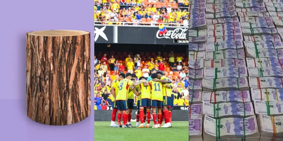 El jugador no rindió en la Selección Colombia y ahora pagarán millones por él.