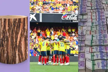 El jugador no rindió en la Selección Colombia y ahora pagarán millones por él.