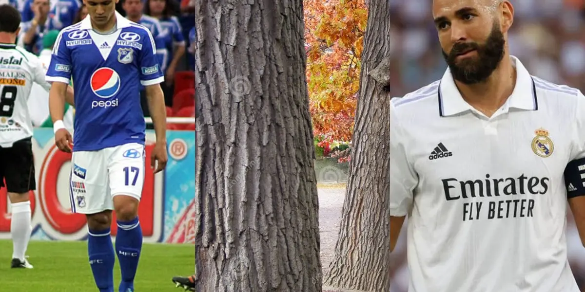 El jugador no tuvo un buen paso por Millonarios donde no rindió como se esperaba