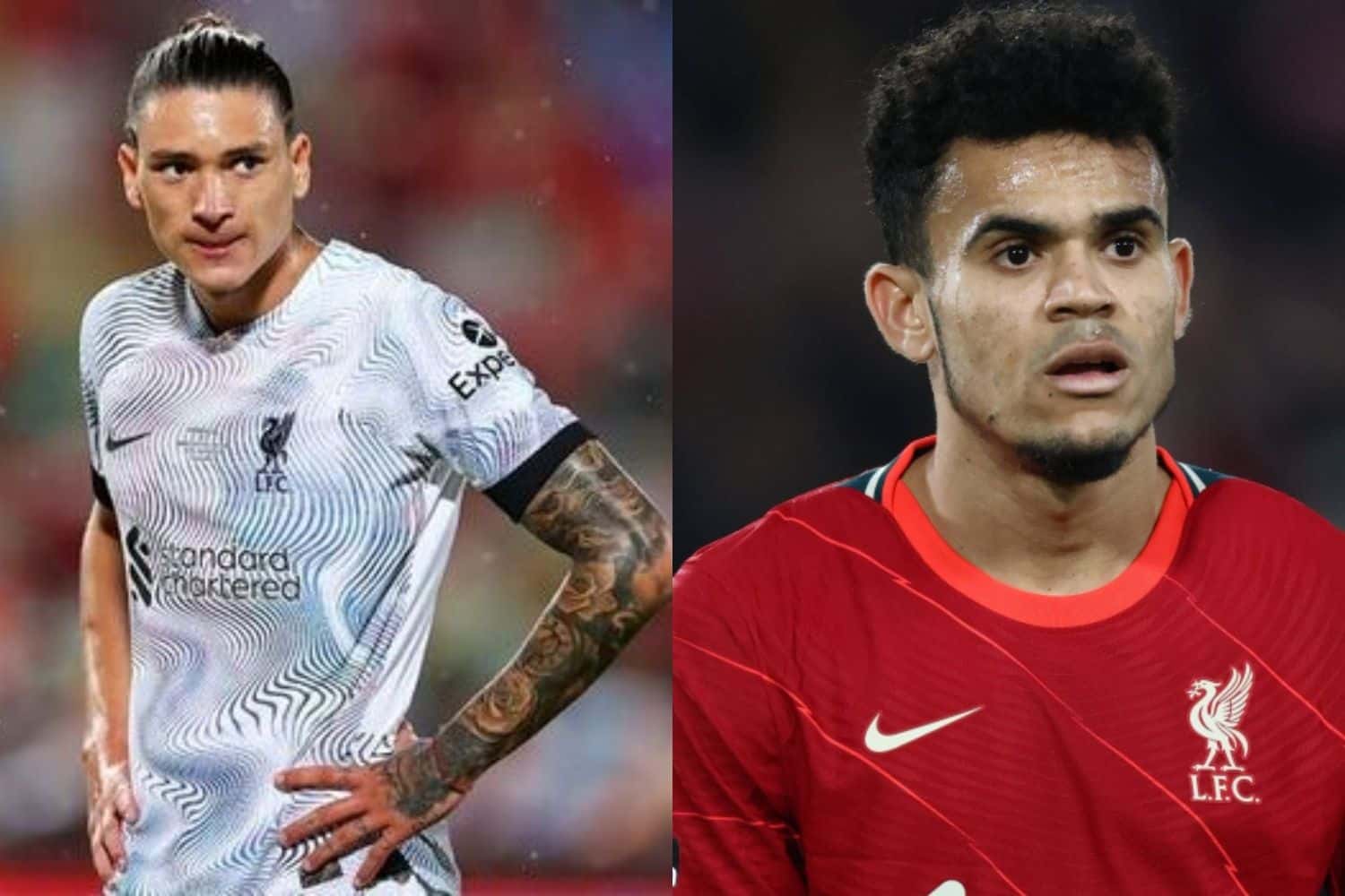 El jugador uruguayo es el fichaje estrella de Liverpool de cara a la próxima temporada