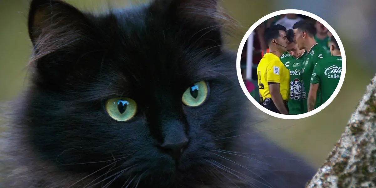 El otro protagonista en medio de la desafortunada noche de James Rodríguez Foto: Pexels y X