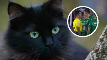 El otro protagonista en medio de la desafortunada noche de James Rodríguez Foto: Pexels y X