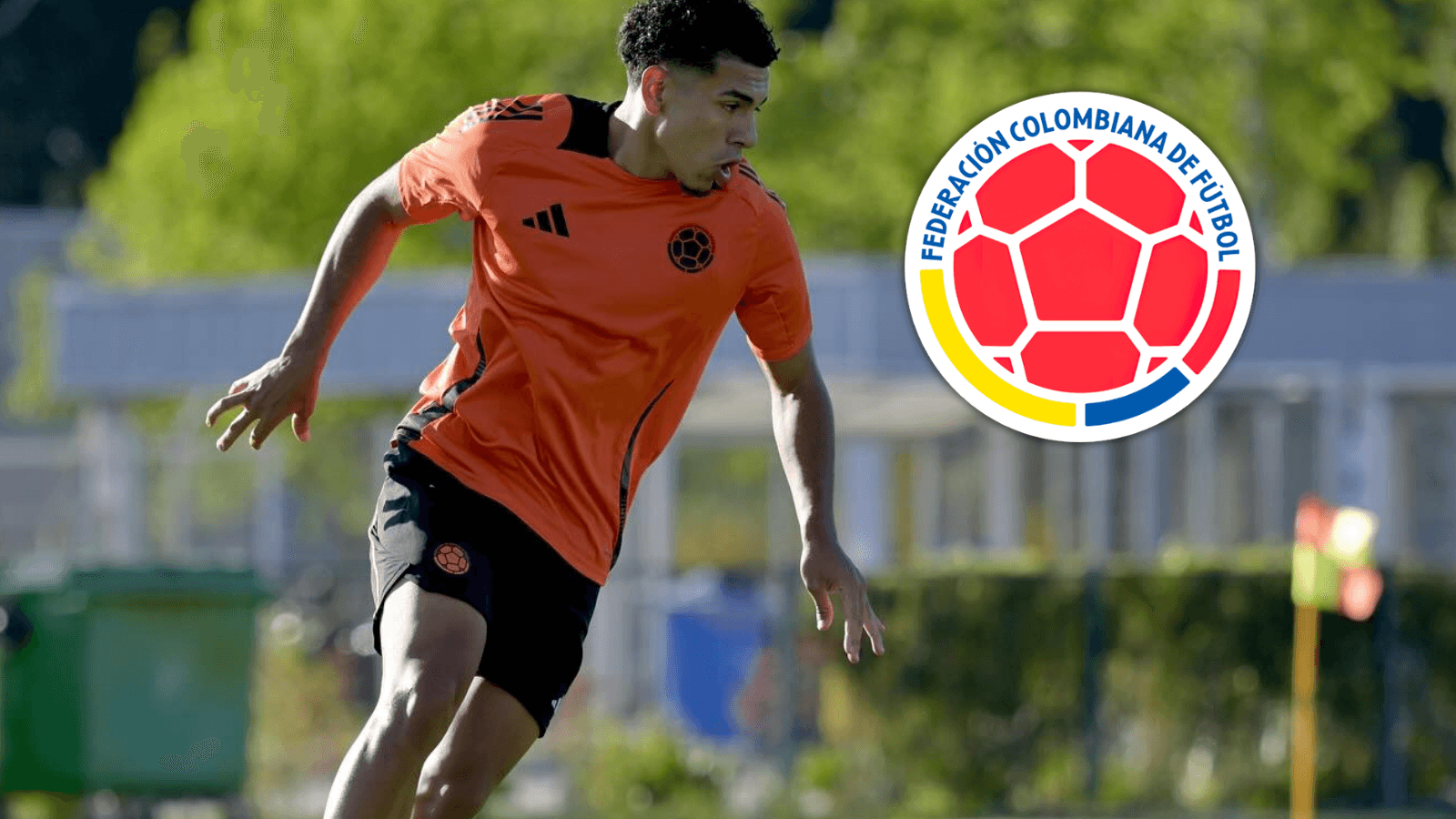 Emilio Aristizábal y la relación con su padre en la convocatoria de la Selección Colombia Foto: FCF y Escudoteca