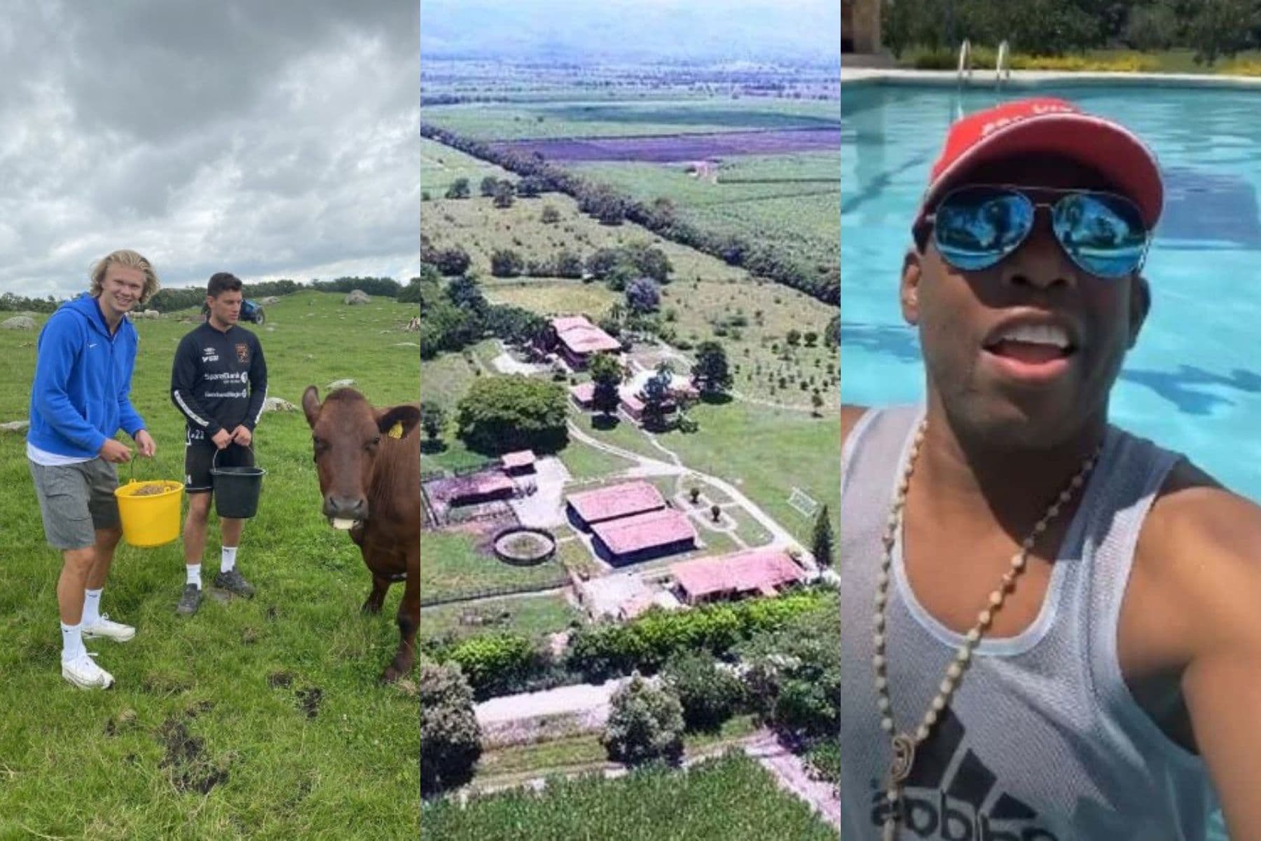 Erling Haaland tiene una granja en Europa, en paralelo Faustino Asprilla tiene una finca en Colombia que la ha llevado a otro nivel.