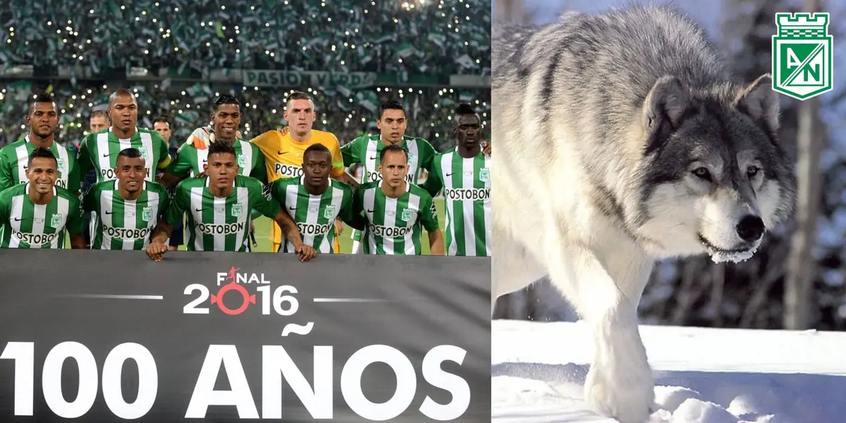 Es uno de los referentes históricos del verde de la montaña.