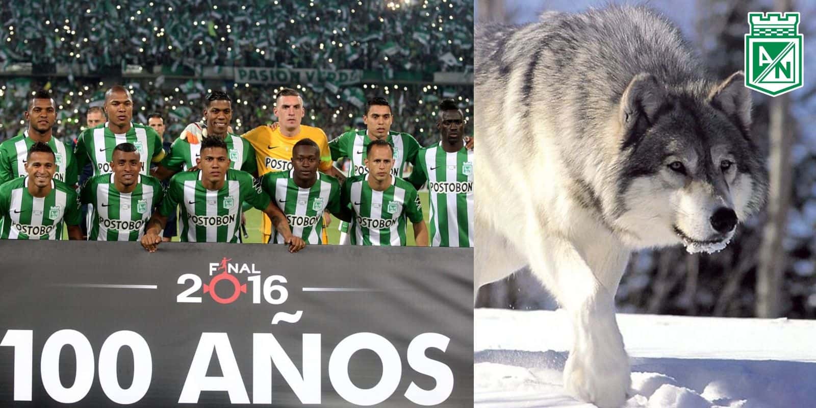 Es uno de los referentes históricos del verde de la montaña.