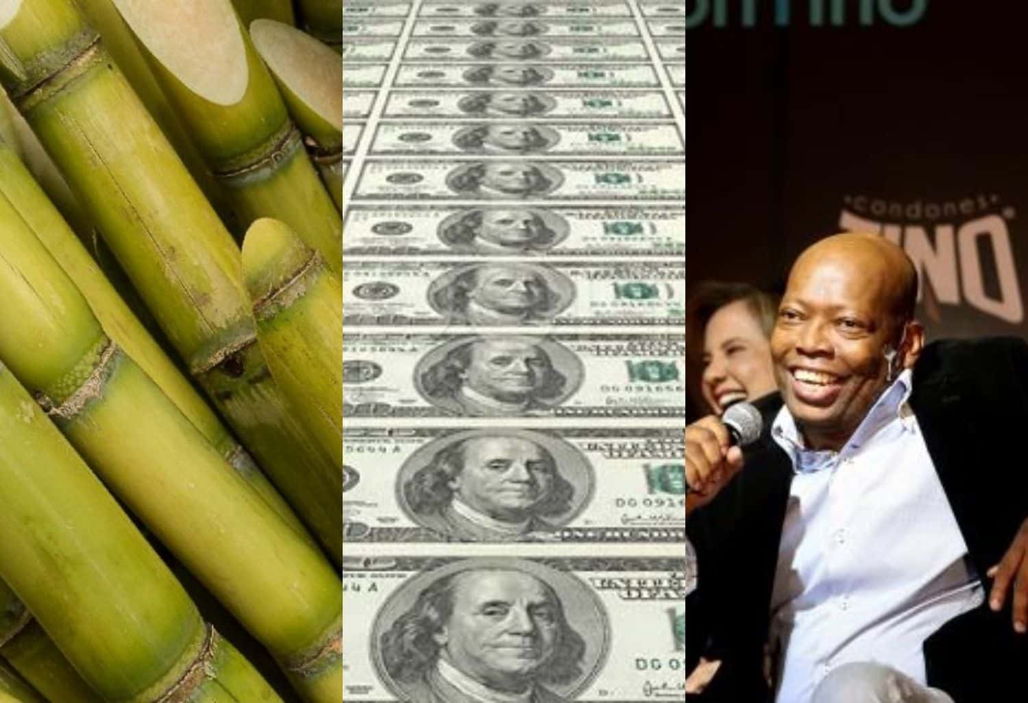 Faustino Asprilla todos los meses recibe una importante suma gracias a sus cultivos de caña de azúcar.