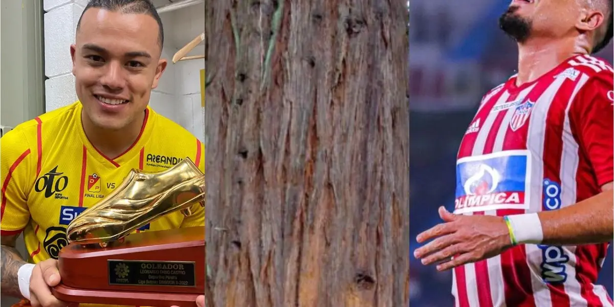 Fernando Uribe no rindió como se esperaba este semestre en Junior y su futuro es incierto en el cuadro tiburón