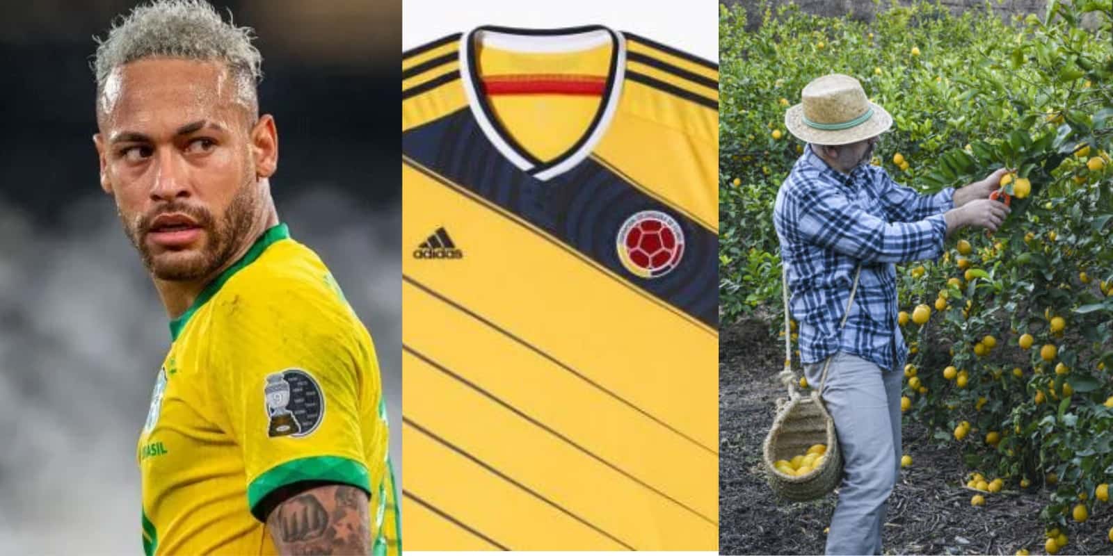 Foto: Minuto Uno / El Colombiano / Murcia Plaza