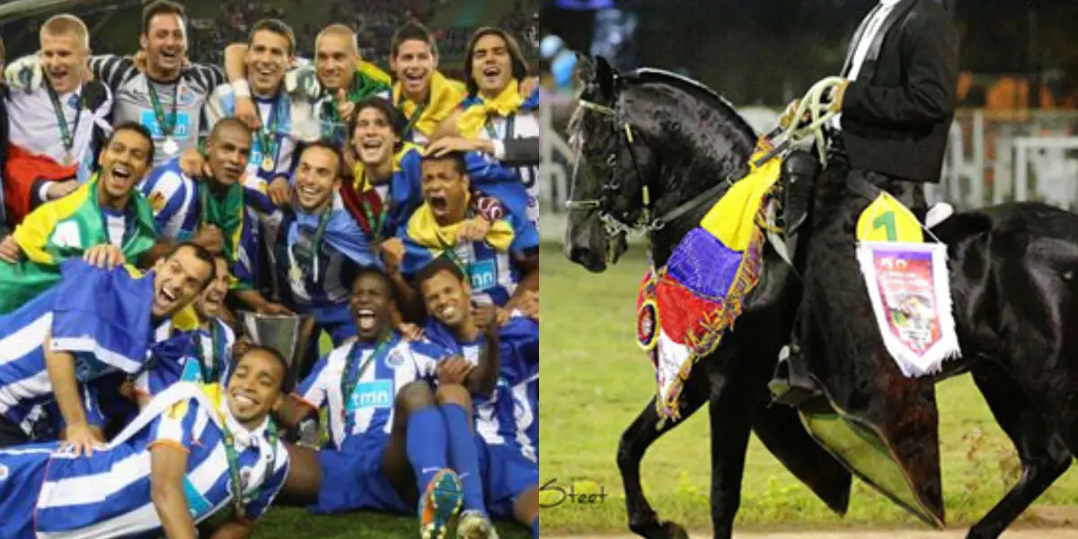 Fredy Guarín aparte su carrera como futbolista, ahora cría y prepara caballos en Colombia, pero no son cualquier tipo de equinos, acá te contamos más de ese negocio.