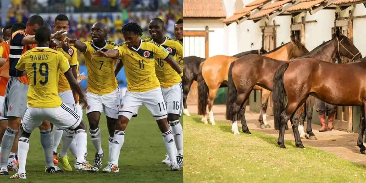 Fue parte de la Selección de Colombia que obtuvo el mejor resultado histórico en un Mundial, ganó millones de dólares y ahora tiene un criadero de caballos como su otra pasión.