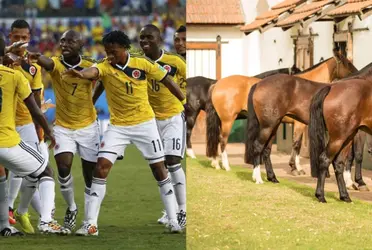 Fue parte de la Selección de Colombia que obtuvo el mejor resultado histórico en un Mundial, ganó millones de dólares y ahora tiene un criadero de caballos como su otra pasión.