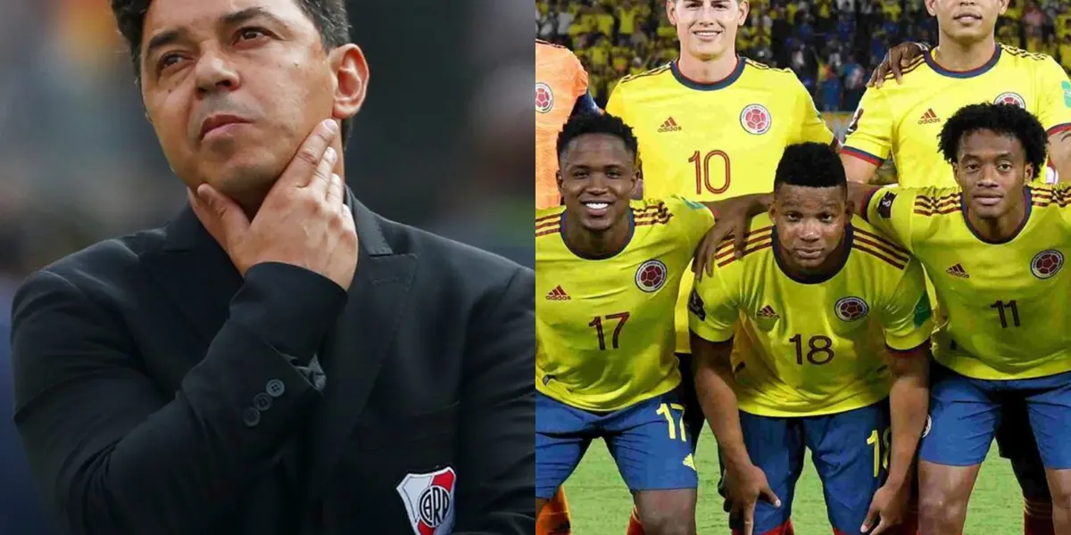 Gallardo podría prescindir de dos jugadores de la Selección Colombia que hasta ahora han sido intocables por varios años. 