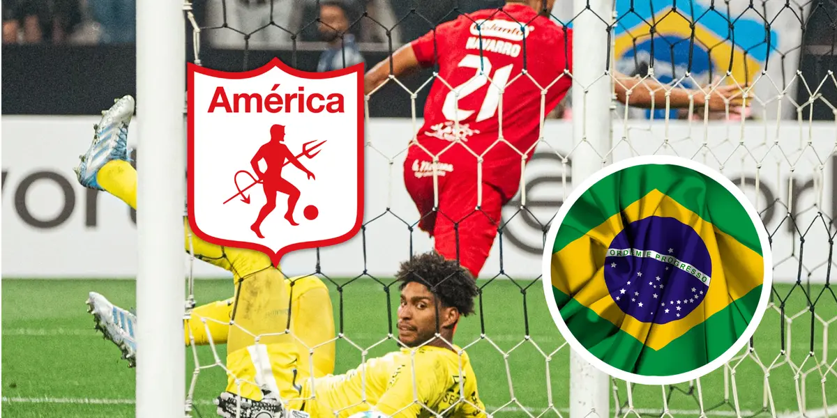 ¡Impresionante gesto de los hinchas del América en Brasil! Así reaccionaron en Argentina Foto: América de Cali, Escudoteca y Pexels