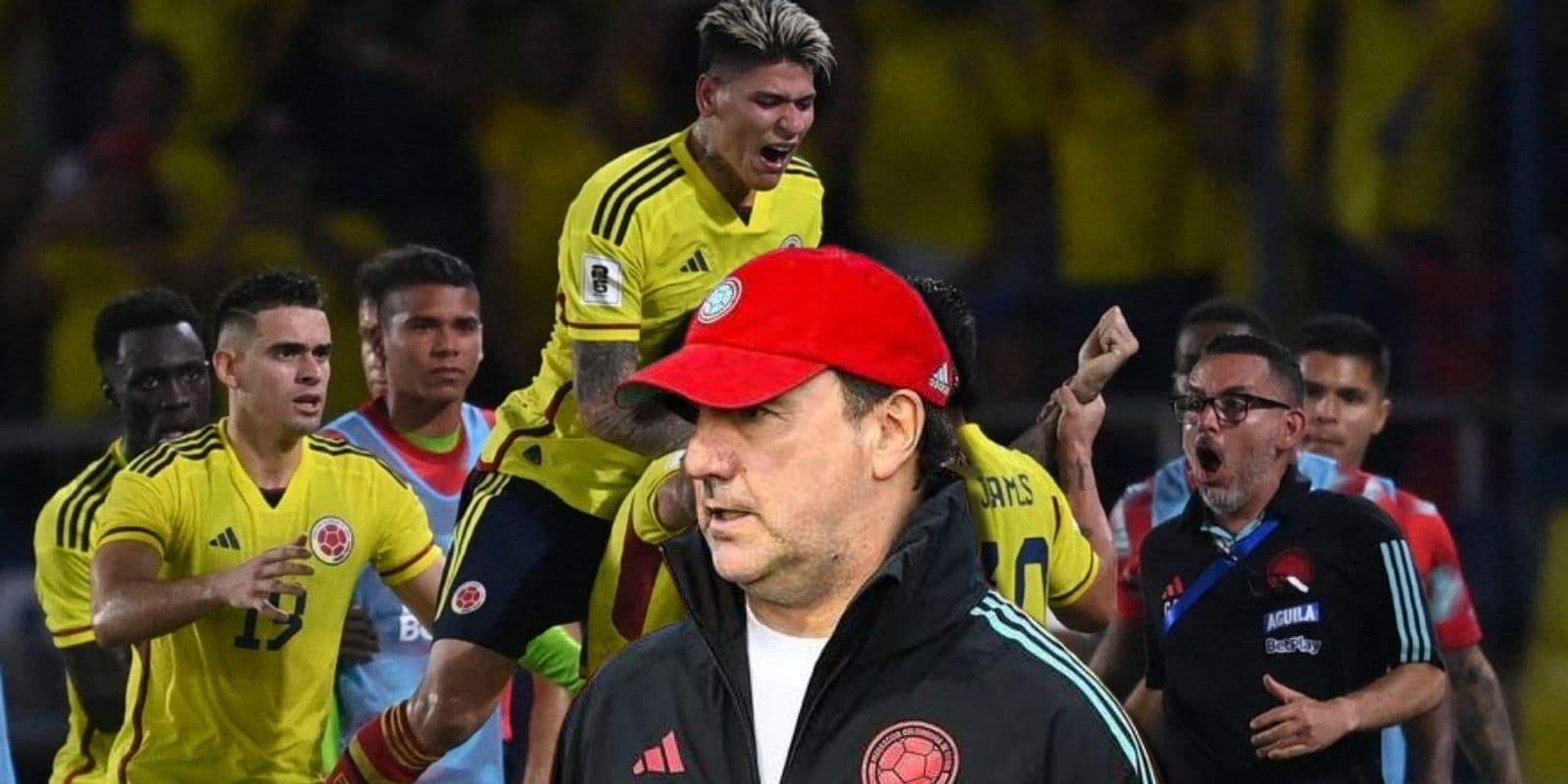 La Selección Colombia tiene un gran reto a mitad de año del 2024
