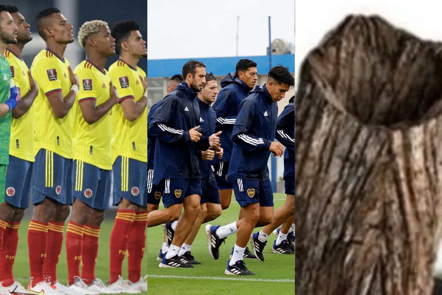 La Selección Colombia venció a Bolivia y ahora se prepara para jugar ante Venezuela en la eliminatoria rumbo a Catar 2022.