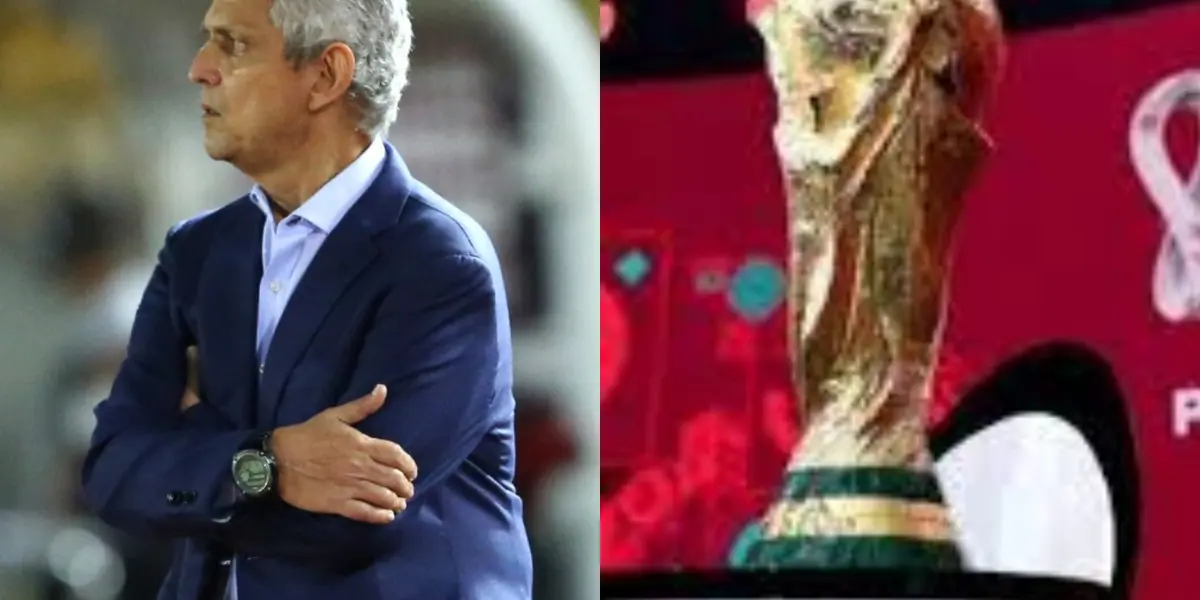 Los dos jugadores estarán presentes en el Mundial de Catar 2022 con su respectivas Selecciónes de Estados Unidos y Canadá ya que tienen la doble nacionalidad, entre ella la colombiana.