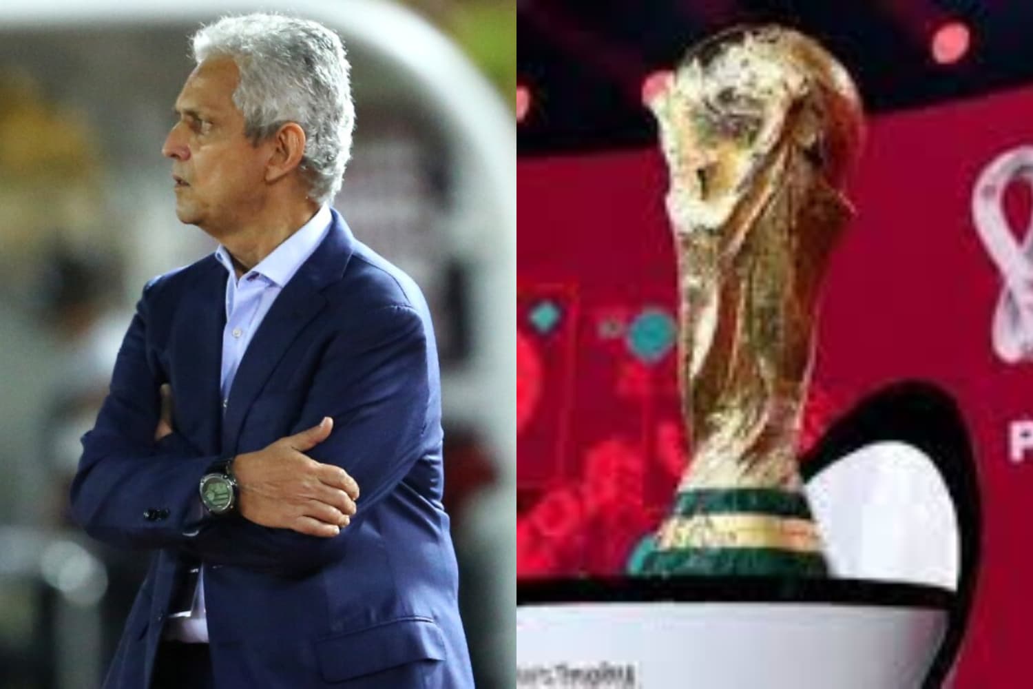 Los dos jugadores estarán presentes en el Mundial de Catar 2022 con su respectivas Selecciónes de Estados Unidos y Canadá ya que tienen la doble nacionalidad, entre ella la colombiana.